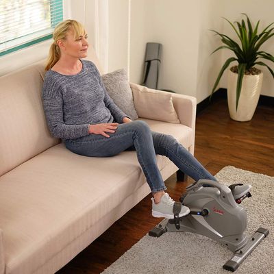 Sunny Health & Fitness Sf-b0418 Magnetic Mini Exercise Bike, Gray on Sale for $156.64 at Amazon Canada