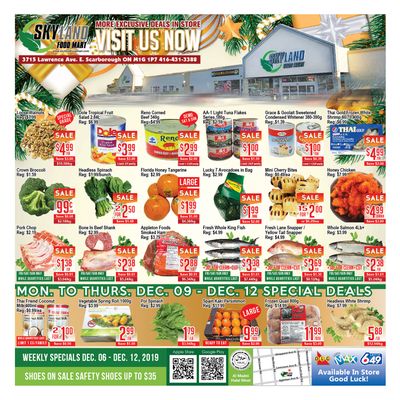 Skyland Food Mart Flyer December 6 to 12