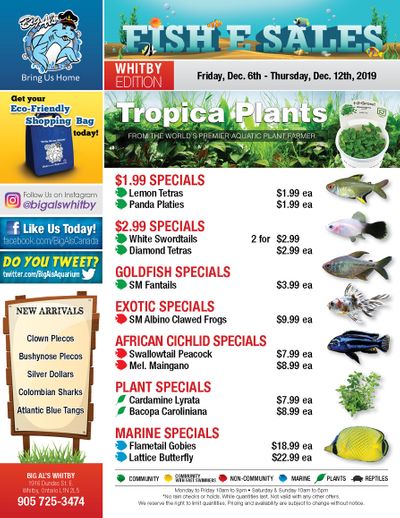Big Al's (Whitby) Weekly Specials December 6 to 12
