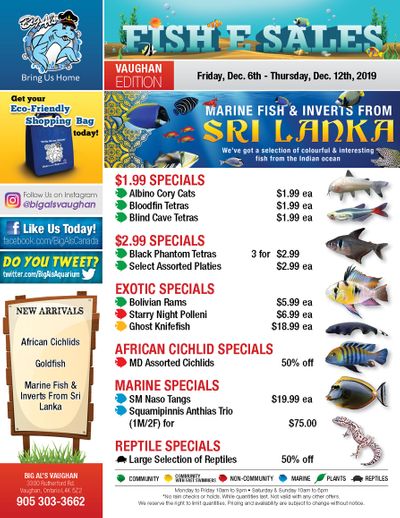 Big Al's (Vaughan) Weekly Specials December 6 to 12 Big Al's (Vaughan) Weekly Specials December 6 to 12