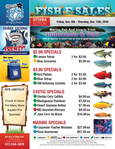 Big Al's (Ottawa East) Weekly Specials December 6 to 12