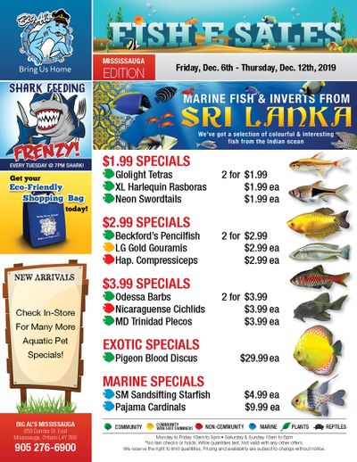 Big Al's (Mississauga) Weekly Specials December 6 to 12