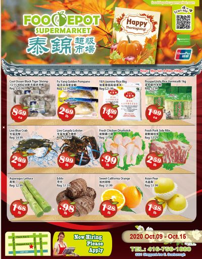 Food Depot Supermarket Flyer October 9 to 15
