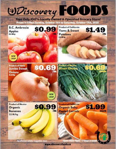 Discovery Foods Flyer October 11 to 17