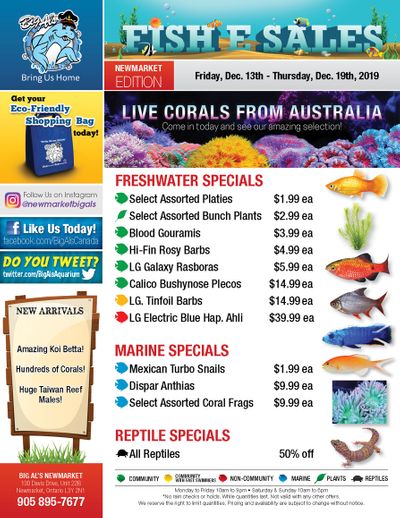 Big Al's (Newmarket) Weekly Specials December 13 to 19