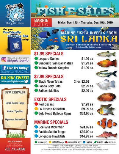 Big Al's (Barrie) Weekly Specials December 13 to 19