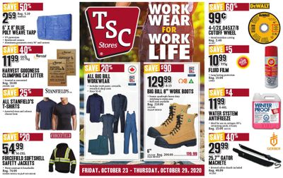 TSC Stores Flyer October 23 to 29