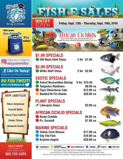 Big Al's (Whitby) Weekly Specials September 13 to 19