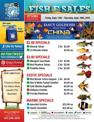 Big Al's (Ottawa East) Weekly Specials September 13 to 19