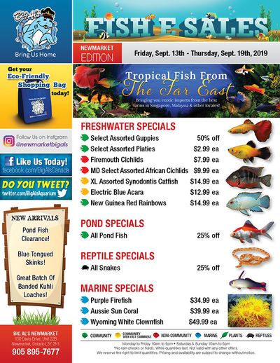 Big Al's (Newmarket) Weekly Specials September 13 to 19