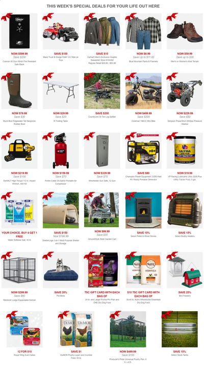 Tractor Supply Co. Weekly Ad Flyer November 9 to November 16