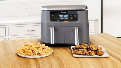 Ninja Dual Zone Air Fryer On Sale for $179.99 (Save $ 80.00) at Canadian Tire Canada