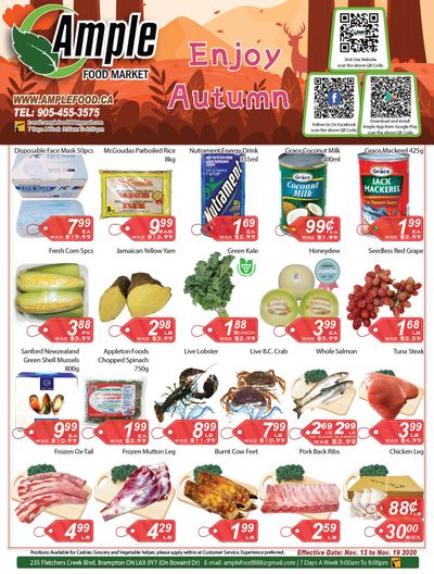 Ample Food Market Flyer November 13 to 19