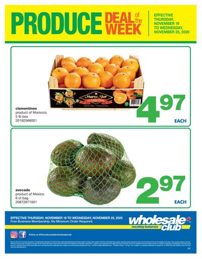Wholesale Club (ON) Produce Deal of the Week Flyer November 19 to 25