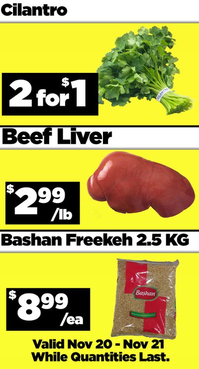 Basha Foods International Flyer November 20 and 21