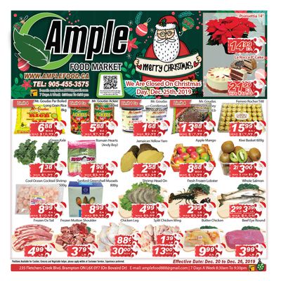 Ample Food Market Flyer December 20 to 26