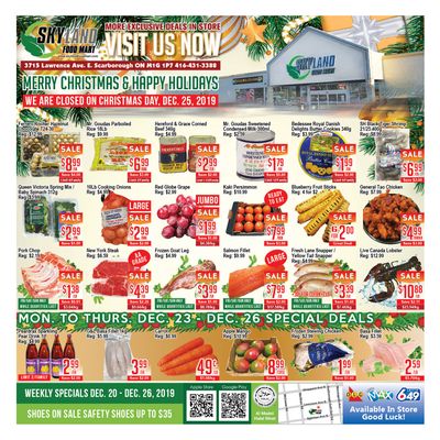 Skyland Food Mart Flyer December 20 to 26