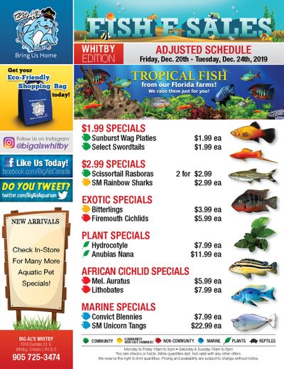 Big Al's (Whitby) Weekly Specials December 20 to 24
