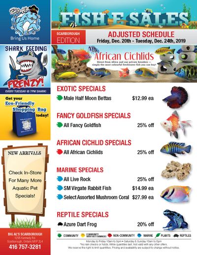 Big Al's (Scarborough) Weekly Specials December 20 to 24