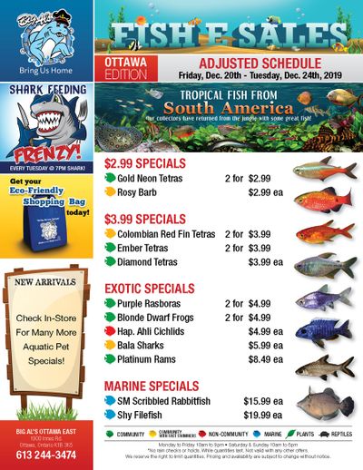 Big Al's (Ottawa East) Weekly Specials December 20 to 24