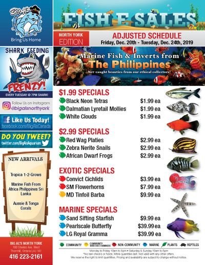 Big Al's (North York) Weekly Specials December 20 to 24