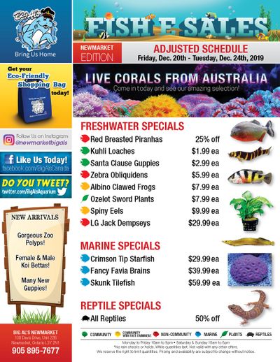 Big Al's (Newmarket) Weekly Specials December 20 to 24 Big Al's (Newmarket) Weekly Specials December 20 to 24