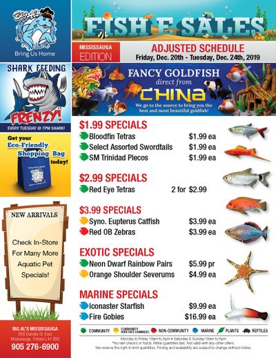 Big Al's (Mississauga) Weekly Specials December 20 to 24