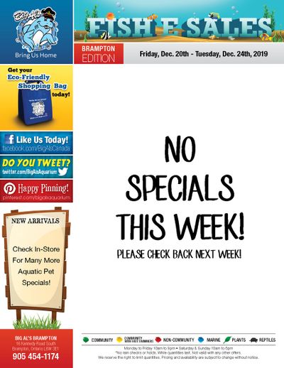 Big Al's (Brampton) Weekly Specials December 20 to 24