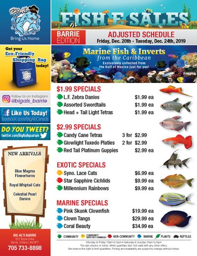 Big Al's (Barrie) Weekly Specials December 20 to 24
