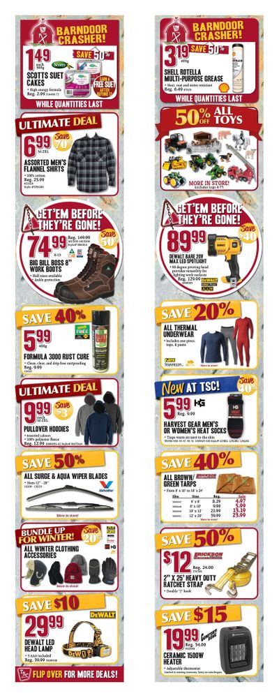 TSC Stores Boxing Week Flyer December 26 to January 2