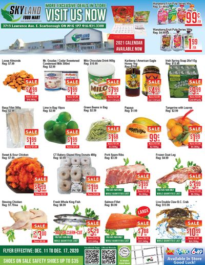 Skyland Food Mart Flyer December 11 to 17