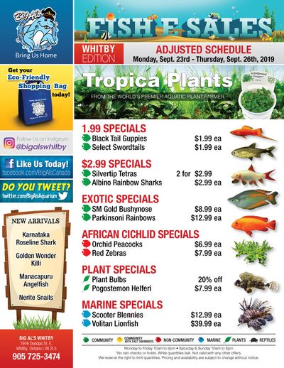 Big Al's (Whitby) Weekly Specials September 23 to 26