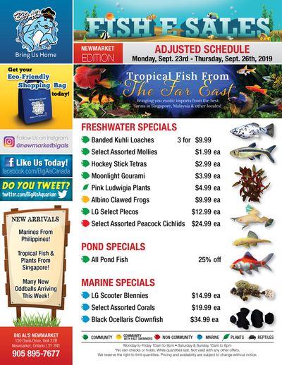 Big Al's (Newmarket) Weekly Specials September 23 to 26