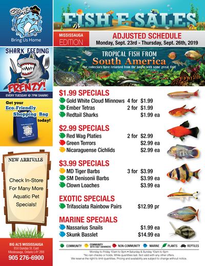 Big Al's (Mississauga) Weekly Specials September 23 to 26
