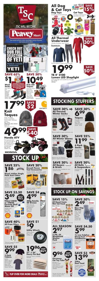 TSC Stores Flyer December 17 to 23