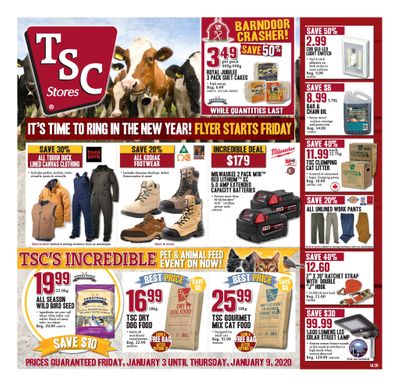 TSC Stores Flyer January 3 to 9