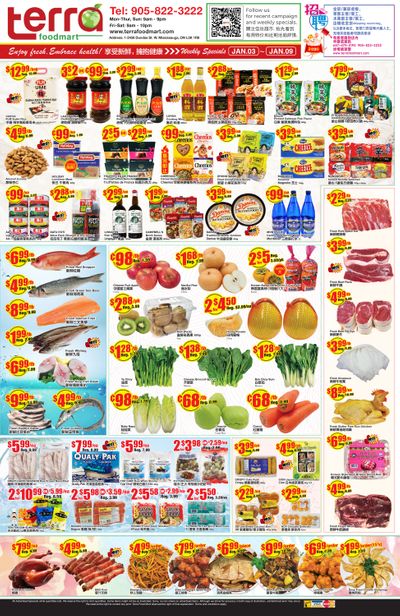 Terra Foodmart Flyer January 3 to 9