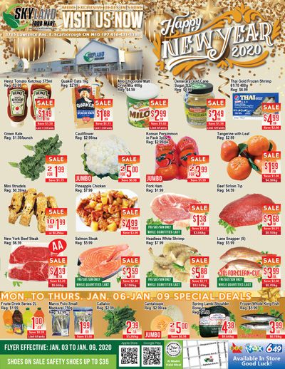 Skyland Food Mart Flyer January 3 to 9