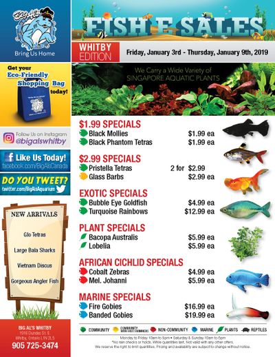 Big Al's (Whitby) Weekly Specials January 3 to 9