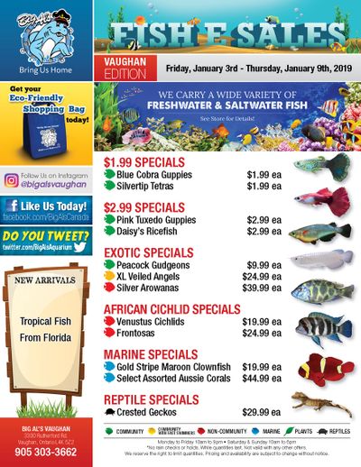 Big Al's (Vaughan) Weekly Specials January 3 to 9