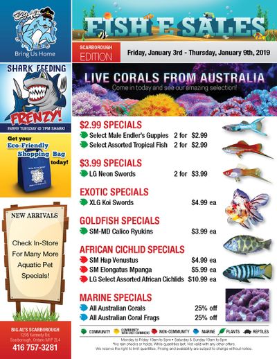 Big Al's (Scarborough) Weekly Specials January 3 to 9