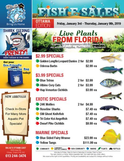 Big Al's (Ottawa East) Weekly Specials January 3 to 9