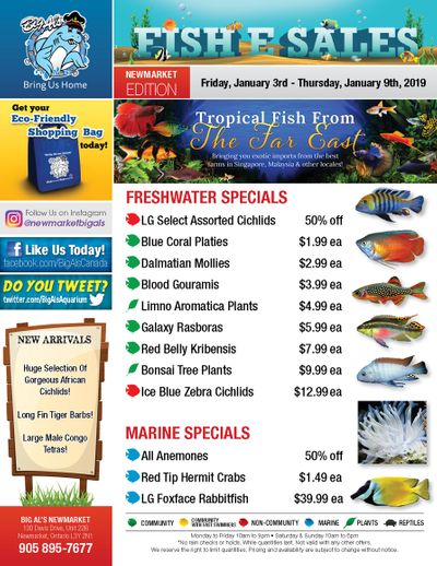 Big Al's (Newmarket) Weekly Specials January 3 to 9