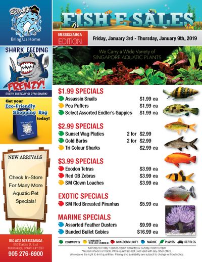 Big Al's (Mississauga) Weekly Specials January 3 to 9