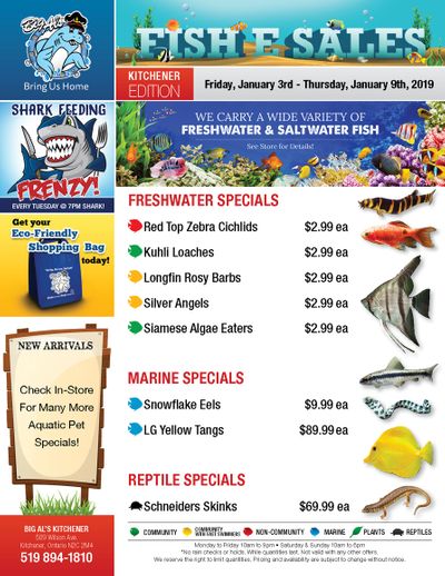 Big Al's (Kitchener) Weekly Specials January 3 to 9 Big Al's (Kitchener) Weekly Specials January 3 to 9