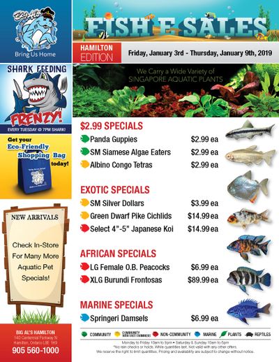 Big Al's (Hamilton) Weekly Specials January 3 to 9
