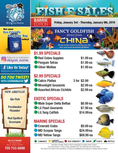 Big Al's (Barrie) Weekly Specials January 3 to 9