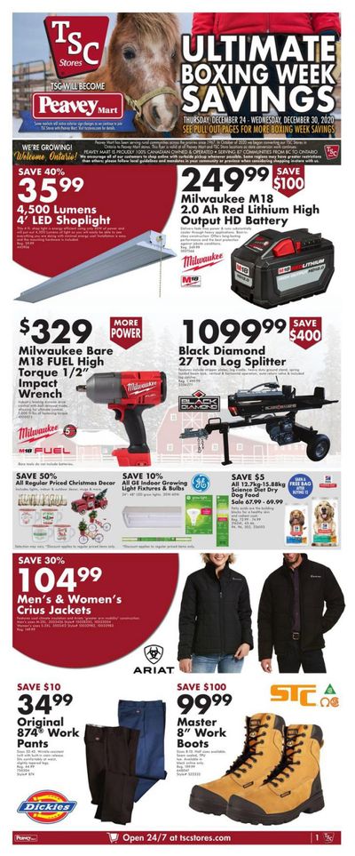 TSC Stores Boxing Week Flyer December 24 to 30, 2020