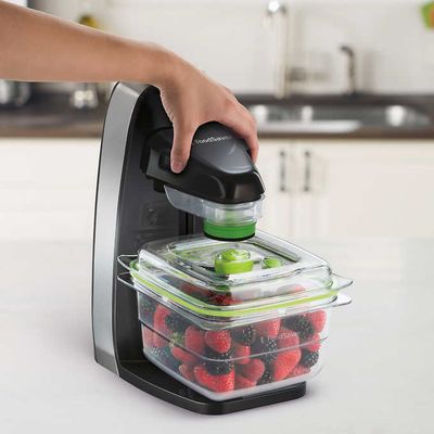 FoodSaver Fresh Food Preservation System on Sale for $29.99 at Costco Canada