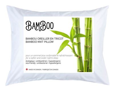Bamboo Knit Pillow - 19 x 27in for 14.99 at London drugs Canada